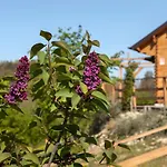 Pian Del Mund Gasthof 3*