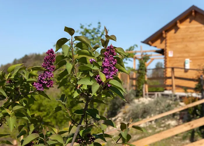 Pian Del Mund Gasthof 3*